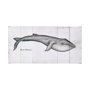 101870-L - Blue Whale by Mercana Studio a Hand Embellished Textured Canvas