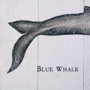 101870-L - Blue Whale by Mercana Studio a Hand Embellished Textured Canvas