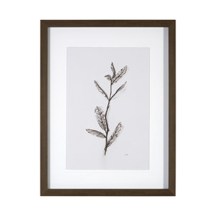 Olive Branch I by Gabrielle a Framed Art Print Matted under Glass