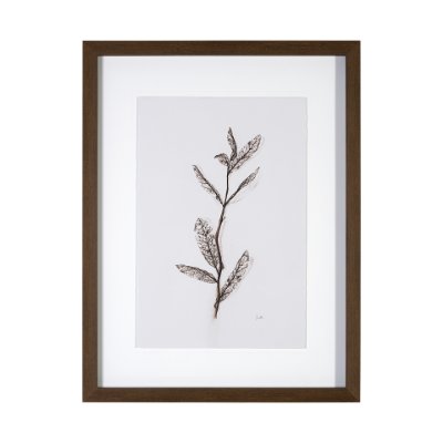 13491 - Olive Branch I by Gabrielle a Framed Art Print Matted under Glass