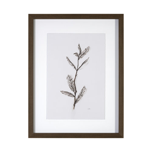 13491 - Olive Branch I by Gabrielle a Framed Art Print Matted under Glass
