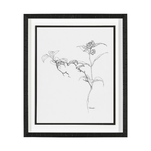 13454 - Arrangement VI by Hiraki a Framed Art Print Matted under Glass