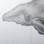 13563 - Humpback Whale by Mercana Studio a Hand Embellished Textured Framed Art Print