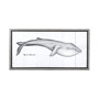 13564 - Blue Whale by Mercana Studio a Hand Embellished Textured Framed Art Print