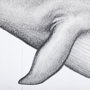 13564 - Blue Whale by Mercana Studio a Hand Embellished Textured Framed Art Print