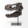 67025 - Jurassic 6L x 10W Brown Resin Tyrannosaurus Skull Replica