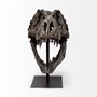 57430 - Lagrane 19L x 11W Brown Resin Tyrannosaurus T Rex Dinosaur Skull Replica