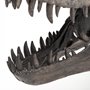 67025 - Jurassic 6L x 10W Brown Resin Tyrannosaurus Skull Replica
