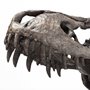 67025 - Jurassic 6L x 10W Brown Resin Tyrannosaurus Skull Replica
