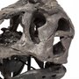 67025 - Jurassic 6L x 10W Brown Resin Tyrannosaurus Skull Replica