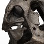 57430 - Lagrane 19L x 11W Brown Resin Tyrannosaurus T Rex Dinosaur Skull Replica