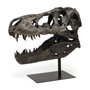 57430 - Lagrane 19L x 11W Brown Resin Tyrannosaurus T Rex Dinosaur Skull Replica