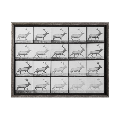 13682 - Elk Trotting by Eadweard Muybridge a Hand Embellished Textured Framed Art Print Matted under Glass