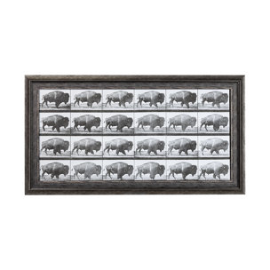 Buffalo Walking by Eadweard Muybridge Hand Embellished Textured Framed Art Print Matted under Glass