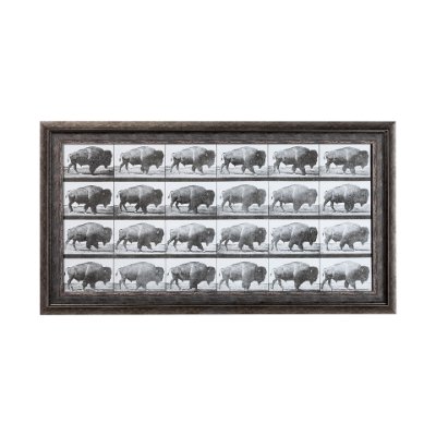 13683 - Buffalo Walking by Eadweard Muybridge Hand Embellished Textured Framed Art Print Matted under Glass