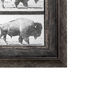 13683 - Buffalo Walking by Eadweard Muybridge Hand Embellished Textured Framed Art Print Matted under Glass