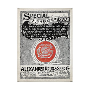 Antique Seed Packet XIIII by Mercana Studio a Hand Embellished Textured Canvas