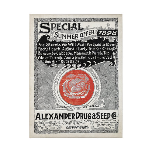 101898-L - Antique Seed Packet XIIII by Mercana Studio a Hand Embellished Textured Canvas
