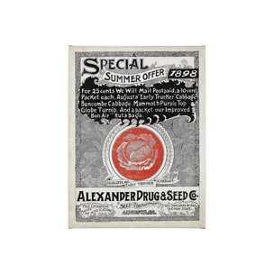 Antique Seed Packet XIIII by Mercana Studio a Hand Embellished Textured Canvas