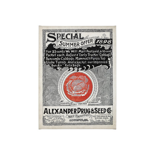 101898-S - Antique Seed Packet XIIII by Mercana Studio a Hand Embellished Textured Canvas