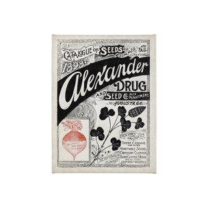 Antique Seed Packet XIV by Mercana Studio a Hand Embellished Textured Canvas