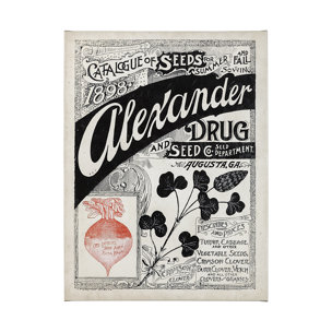 Antique Seed Packet XIV by Mercana Studio a Hand Embellished Textured Canvas