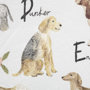 101902-S - Dog Alphabet by Melissa Wang a Hand Embellished Textured Canvas