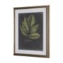 10134 - Foliage Dramatique III by Vision Studio Hand Embellished Textured Framed Art Print Matted under Glas