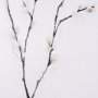 13593 - Snow Greetings I by Mercana Studio a Hand Embellished Textured Framed Art Print