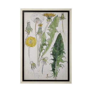 Maskros Akvarellmalning by John Bauer Hand Embellished Textured Framed Art Print Matted under Glass