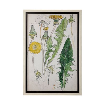13605 - Maskros Akvarellmalning by John Bauer Hand Embellished Textured Framed Art Print Matted under Glass