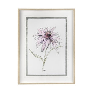 Echinacea I by Panpan Zhang a Framed Art Print Matted under Glass