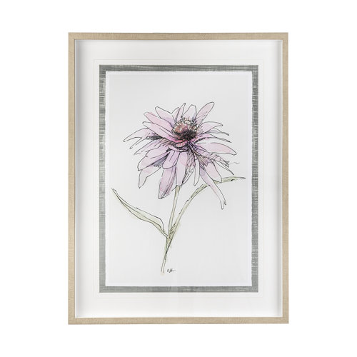 13648 - Echinacea I by Panpan Zhang a Framed Art Print Matted under Glass