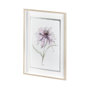 13648 - Echinacea I by Panpan Zhang a Framed Art Print Matted under Glass