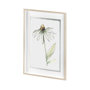 13649 - Echinacea II by Panpan Zhang a Framed Art Print Matted under Glass