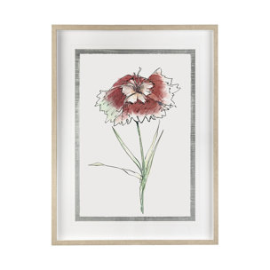 Dianthus I by Panpan Zhang a Framed Art Print Matted under Glass