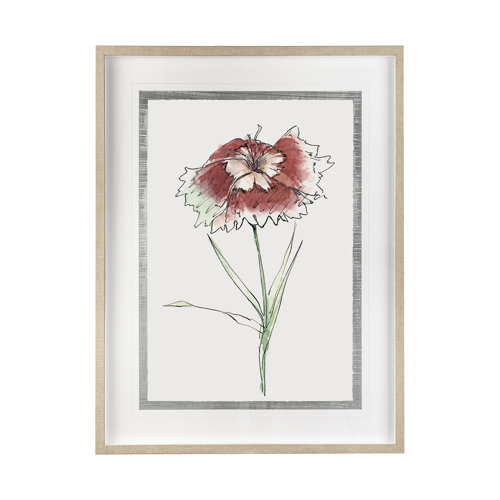 13652 - Dianthus I by Panpan Zhang a Framed Art Print Matted under Glass