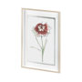 13652 - Dianthus I by Panpan Zhang a Framed Art Print Matted under Glass