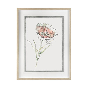 Dianthus II by Panpan Zhang a Framed Art Print Matted under Glass