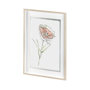 13653 - Dianthus II by Panpan Zhang a Framed Art Print Matted under Glass