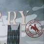 13702 - Calgary Go Canada (SM) by Mercana Studio a Hand Embellished Decograph Framed Art Print