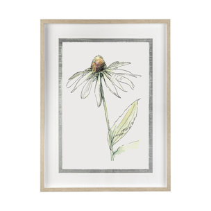 Echinacea II by Panpan Zhang a Framed Art Print Matted under Glass