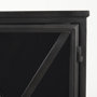 69129 - Poppy III 40L x 16W Black Metal With Glass Door Accent Cabinet
