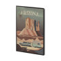 13657 - Arizona Go USA (SM) by Mercana Studio a Hand Embellished Decograph Framed Art Print