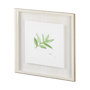 11341 - Sweet Bay v2 by Chris Paschke a Framed Art Print Matted under Glass