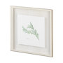 11343 - Rosemary v2 by Chris Paschke a Framed Art Print Matted under Glass
