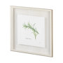 11345 - Tarragon v2 by Chris Paschke a Framed Art Print Matted under Glass