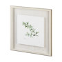 11346 - Thyme v2 by Chris Paschke a Framed Art Print Matted under Glass