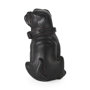 57798 - Cadence 4L x 5W Black Resin Pug Dog