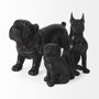 57798 - Cadence 4L x 5W Black Resin Pug Dog